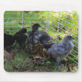 Was oben ist - Huhn-Hintern Mousepad