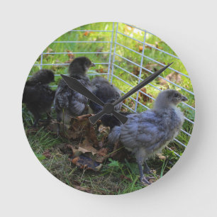 Was oben ist - Huhn-Hintern Runde Wanduhr