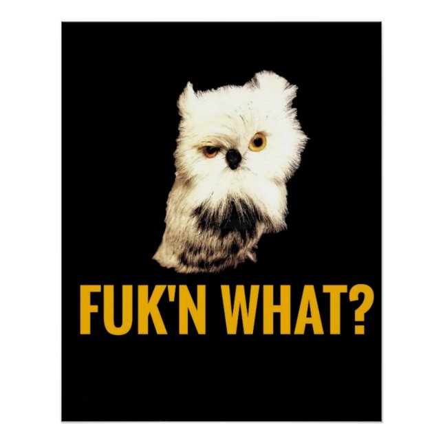 Was? Poster (Vorderseite)