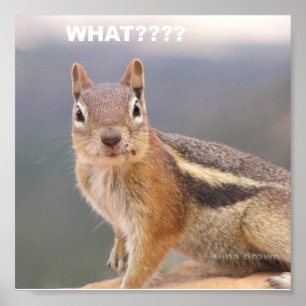 Was???? Poster