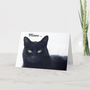 Was sagt diese Katze uns auf einem Geburtstag? Karte