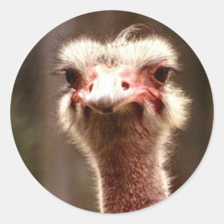 Was schaust du dir an? runder aufkleber