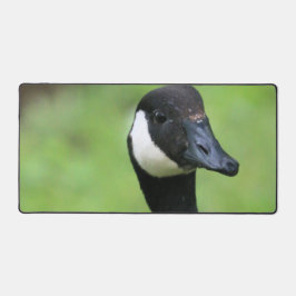 Was Schreibtischunterlage