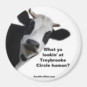 Was siehst du an Treybrooke Circle human? Magnet