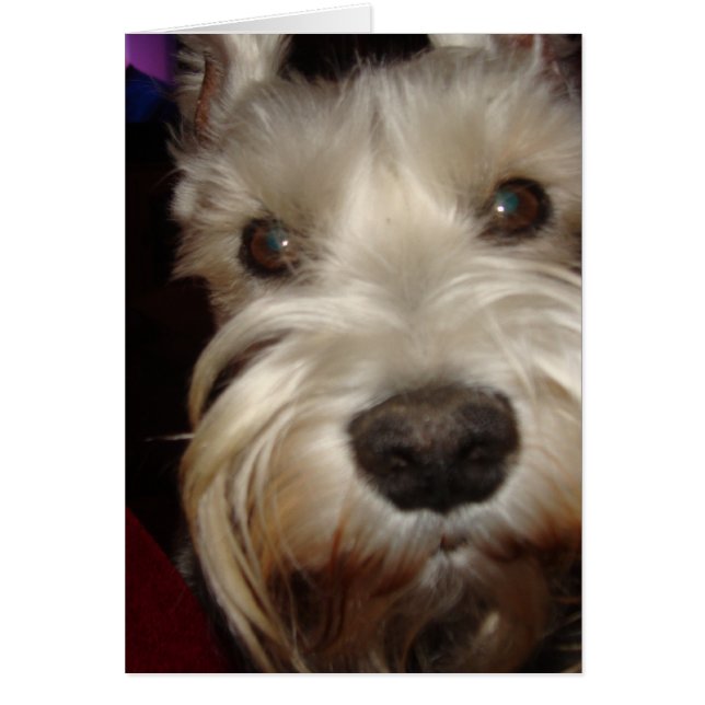 Was siehst du dir an? (Vorne)