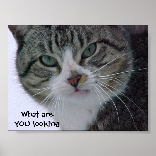 Was siehst du dir an?!!! poster (Vorne)