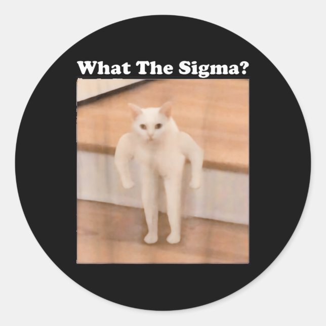 Was Sigma Meme Cat Meme Internet Memes Funny Meme Runder Aufkleber (Vorderseite)