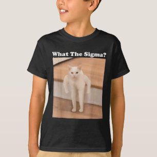 Was Sigma Meme Cat Meme Internet Memes Funny Meme T-Shirt