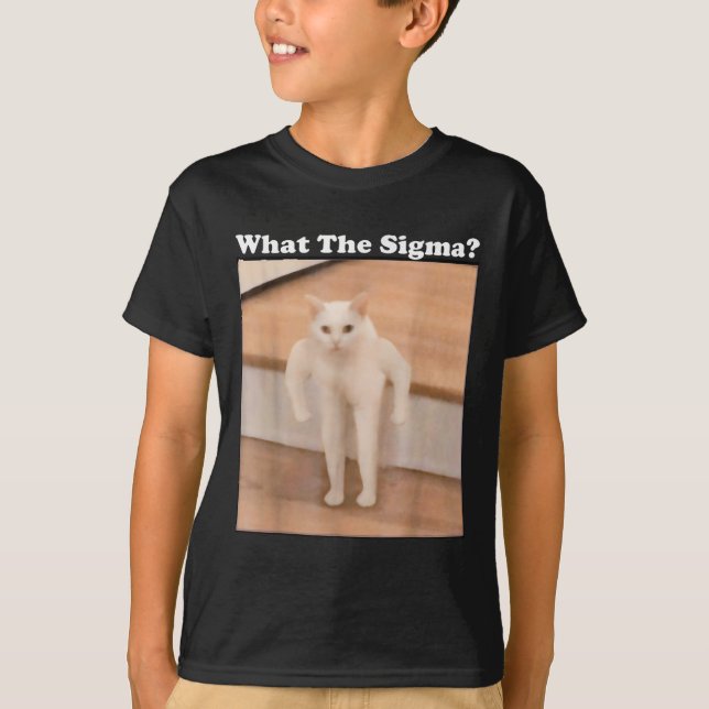 Was Sigma Meme Cat Meme Internet Memes Funny Meme T-Shirt (Vorderseite)
