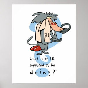 Was soll das I.R. tun?™ Poster