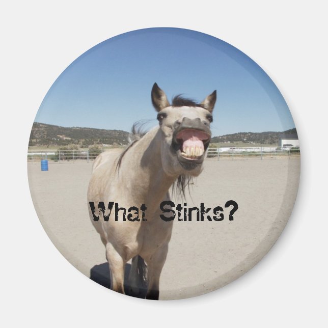 Was stinkt? magnet (Vorne)