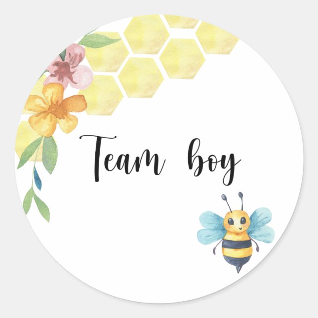 Was wird der Baby-Bienenteam-Junge? Runder Aufkleber (Vorderseite)