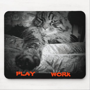 Was zu tun ist heute online? Cat Says Play Mousepad