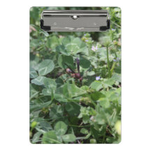 Wasch-Clipboards