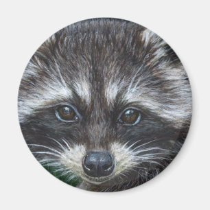 Waschbär #3 magnet