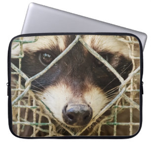 Waschbär auf Laptop-Hülle Laptopschutzhülle