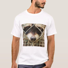 Waschbär auf T-Shirts