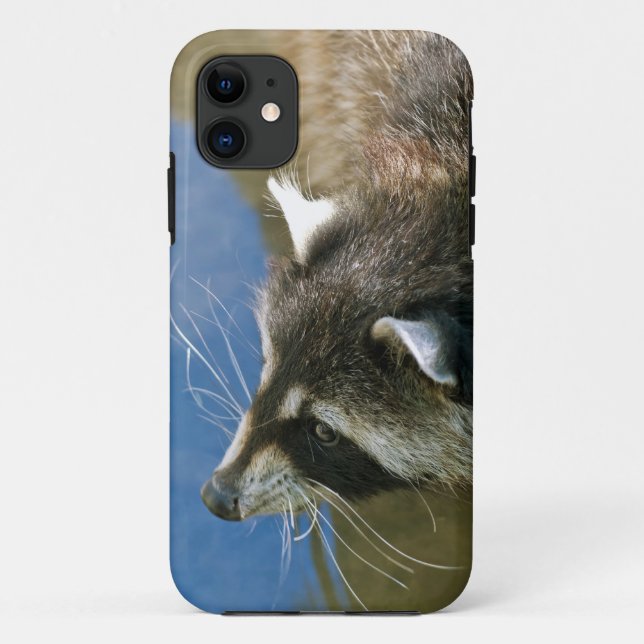 Waschbär Case-Mate iPhone Hülle (Rückseite)