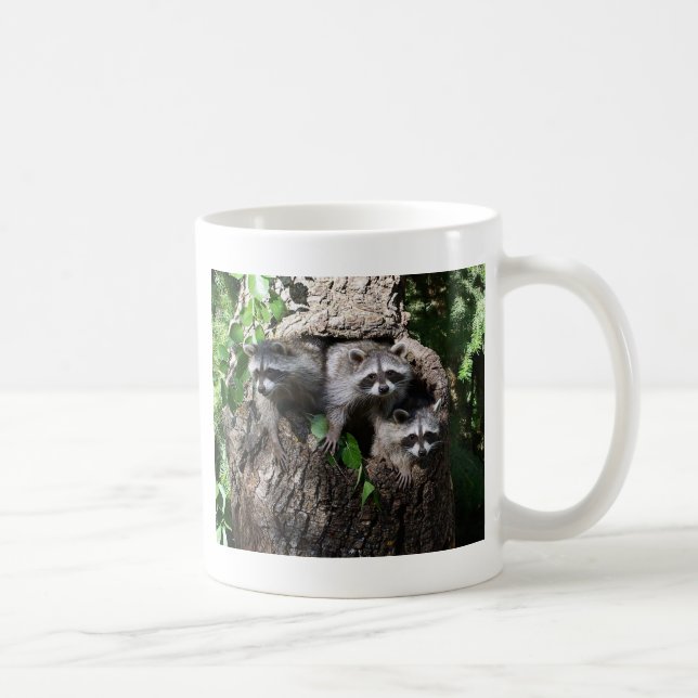 Waschbär - die drei Freunde Kaffeetasse (Rechts)