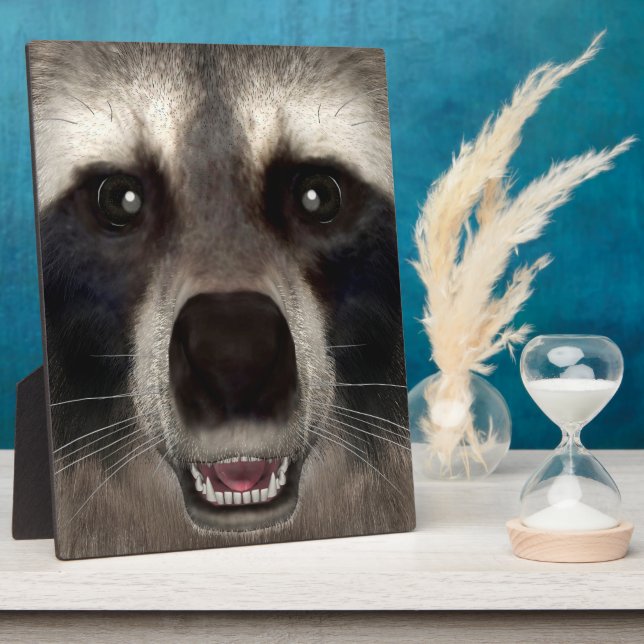 Waschbär Fotoplatte (Seite)