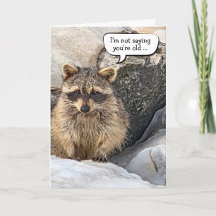 Waschbär-Geburtstagshumor Karte