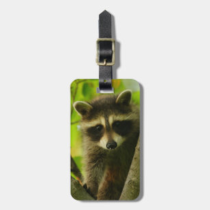 Waschbär Gepäckanhänger