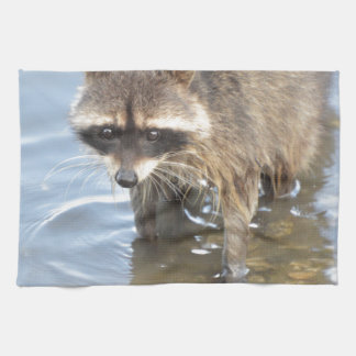 Waschbär Geschirrtuch