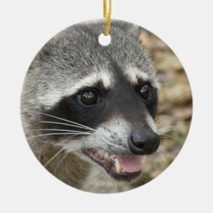 Waschbär-Gesichts-Verzierung Keramik Ornament