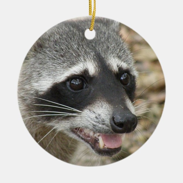 Waschbär-Gesichts-Verzierung Keramik Ornament (Vorne)