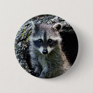 Waschbär in der Höhle Button