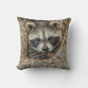 Waschbär in einer Baumhöhle geschmiegt Kissen