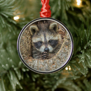 Waschbär in einer Baumhöhle geschmiegt Ornament Aus Metall