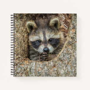 Waschbär in einer Baumhöhle Notizbuch