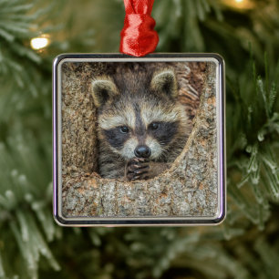 Waschbär in einer Baumhöhle Ornament Aus Metall