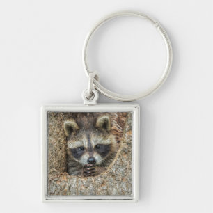 Waschbär in einer Baumhöhle Schlüsselanhänger