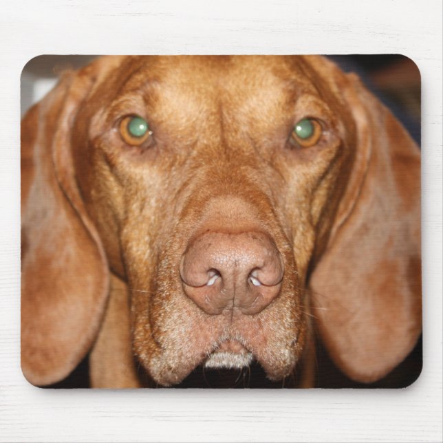 Waschbär-Jagdhund-Mausunterlage Mousepad (Vorne)