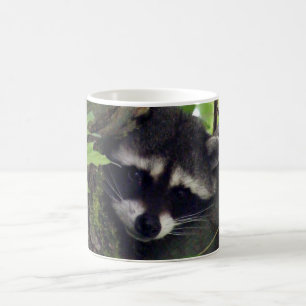 Waschbär Kaffeetasse