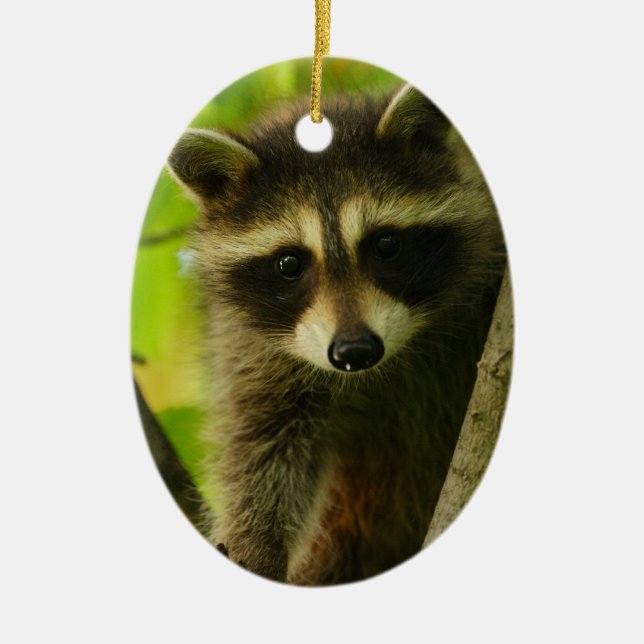 Waschbär Keramikornament (Vorne)