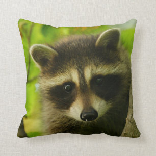 Waschbär Kissen