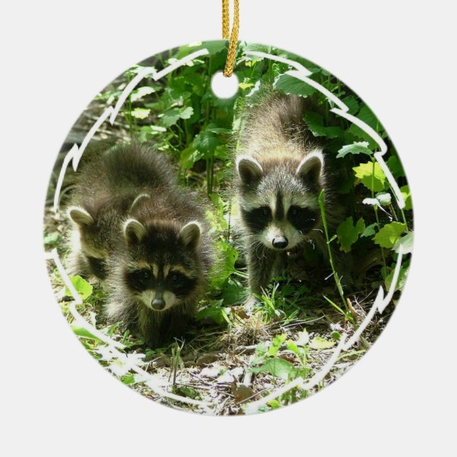 Waschbär-Lebensraum-Verzierung Keramik Ornament (Vorne)