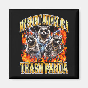 Waschbär Mein Lieblingstier Ist Ein Müllpanda Lust Magnet