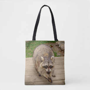 Waschbär mit einem Chip Tasche