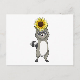 Waschbär mit Sonnenblume Postkarte