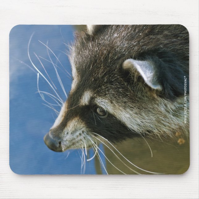 Waschbär Mousepad (Vorne)