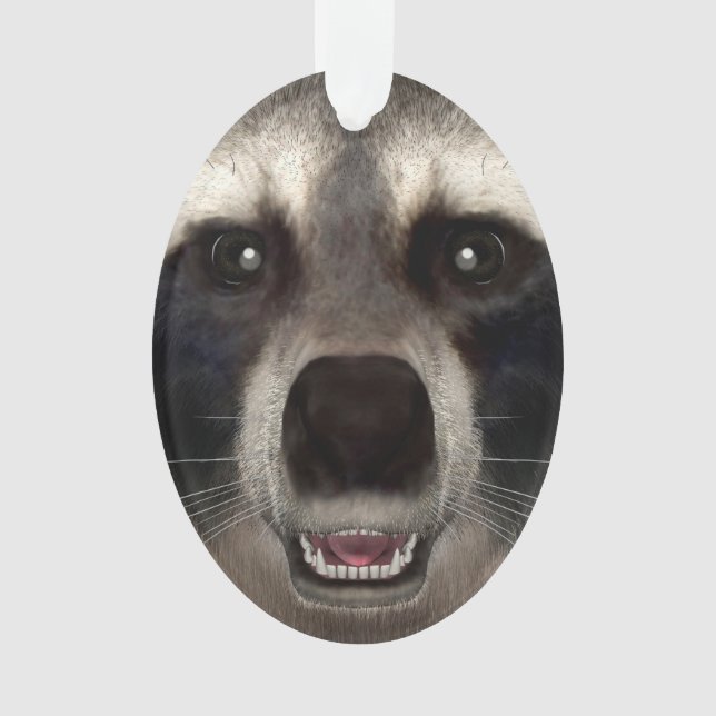 Waschbär Ornament (Vorderseite)