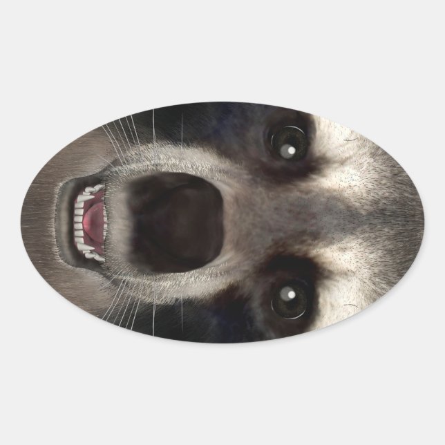 Waschbär Ovaler Aufkleber (Vorderseite)