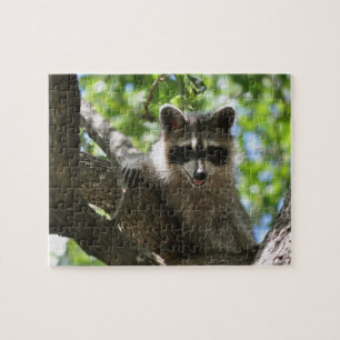 Waschbär - Puzzle