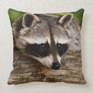 Waschbär-quadratisches Wurfs-Kissen Kissen