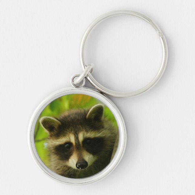 Waschbär Schlüsselanhänger (Vorne)