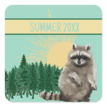 Waschbär Sommer